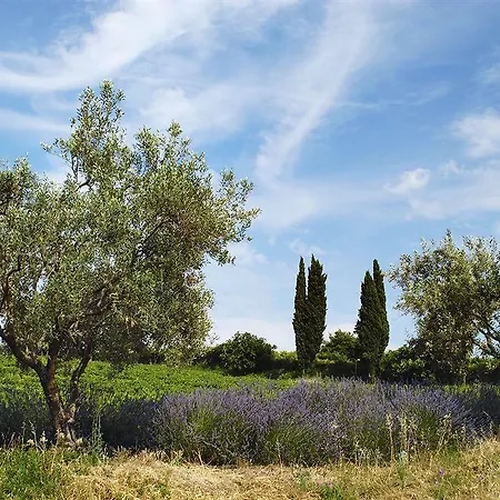 Les Jardins De מלון 3*