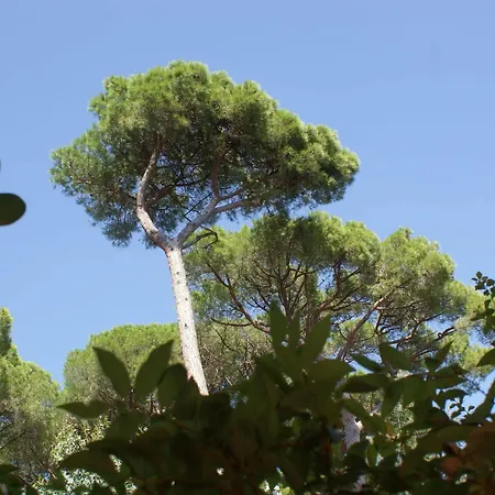 מלון Les Jardins De סן-מקסים