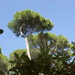 Ξενοδοχείο Les Jardins De 3*