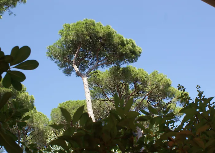 호텔 Les Jardins De 3*