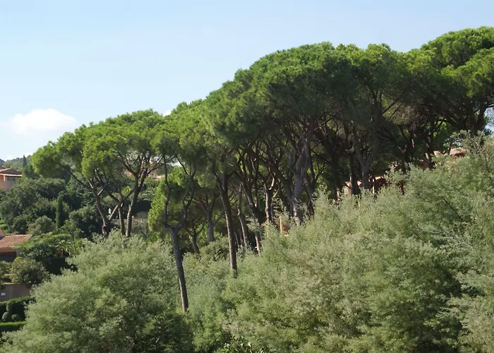 Les Jardins De فندق