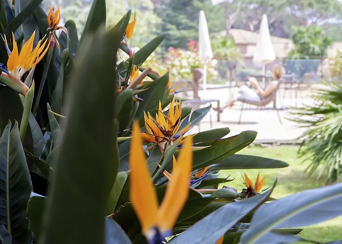 Les Jardins De فندق سانت ماكسيم